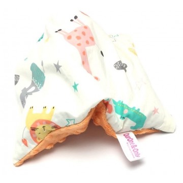 Comfort & Bedding