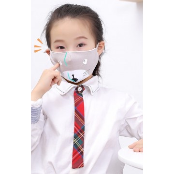 Fabric Mask