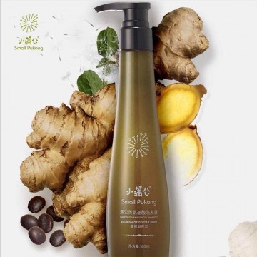 Dandelion Amino Acid Ginger Root Shampoo (300ml)