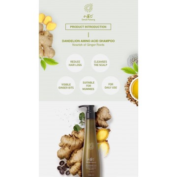 Dandelion Amino Acid Ginger Root Shampoo (300ml)