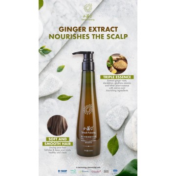 Dandelion Amino Acid Ginger Root Shampoo (300ml)