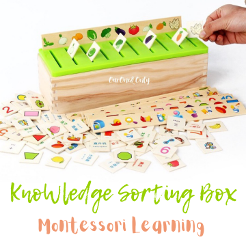 Knowledge Sorting Box